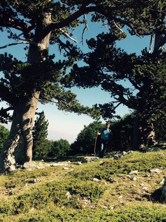 Готель La Stella Del Pollino San Lorenzo Bellizzi Екстер'єр фото