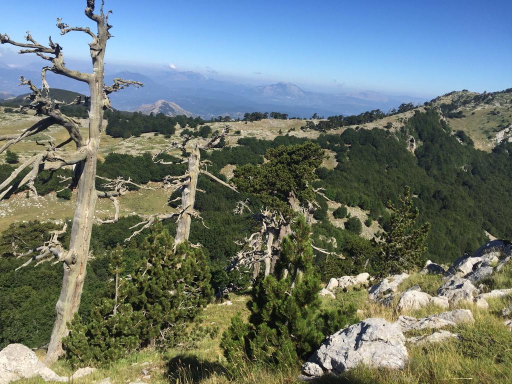 Готель La Stella Del Pollino San Lorenzo Bellizzi Екстер'єр фото