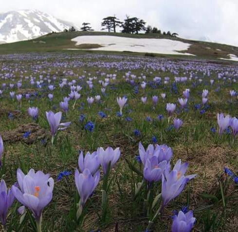 Готель La Stella Del Pollino San Lorenzo Bellizzi Екстер'єр фото