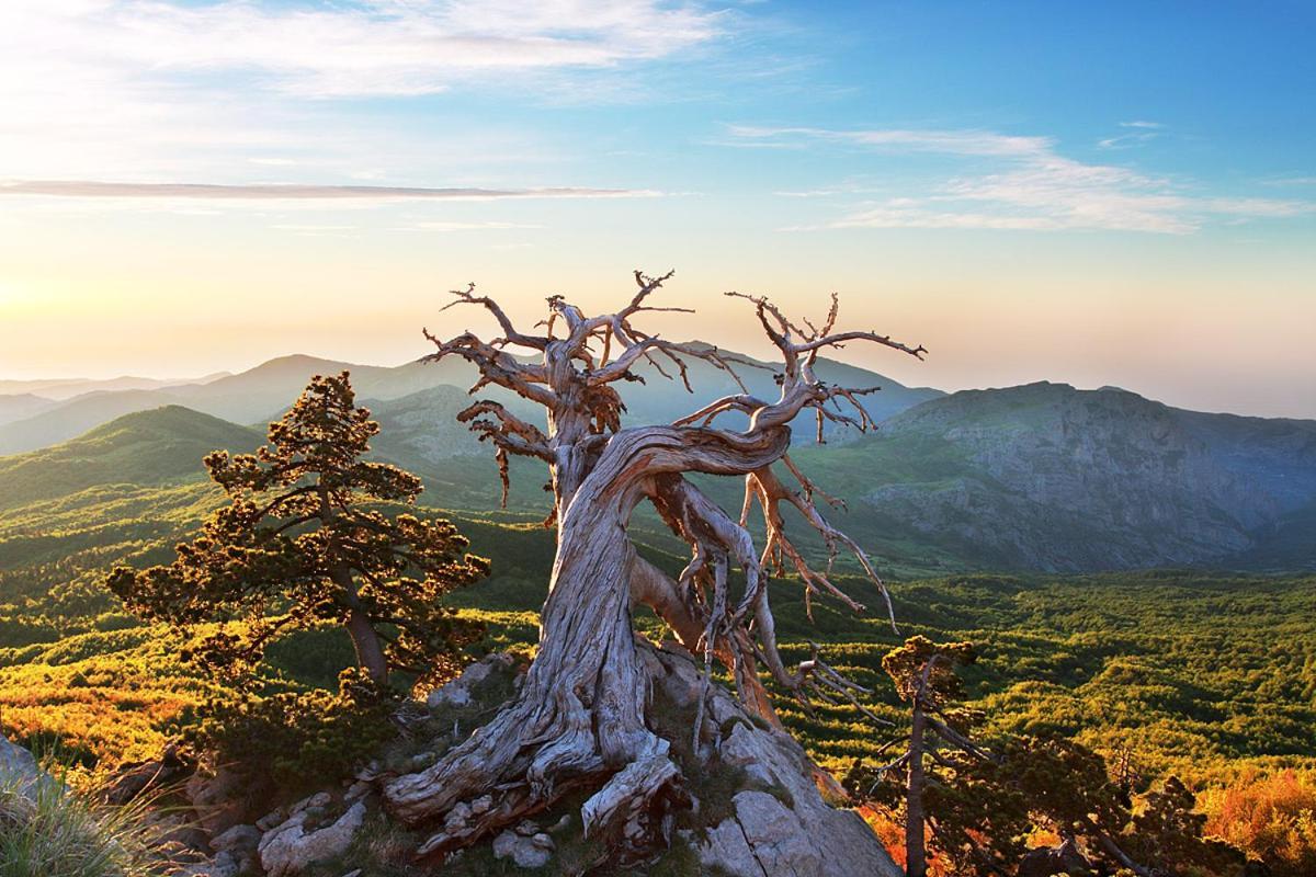 Готель La Stella Del Pollino San Lorenzo Bellizzi Екстер'єр фото